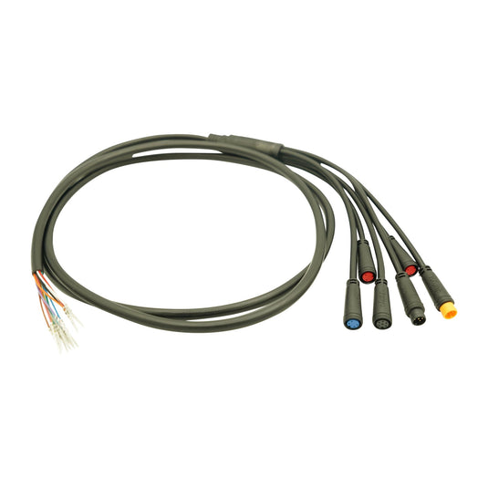 Wire Harness - Lightning - RoadRunner Scooters
