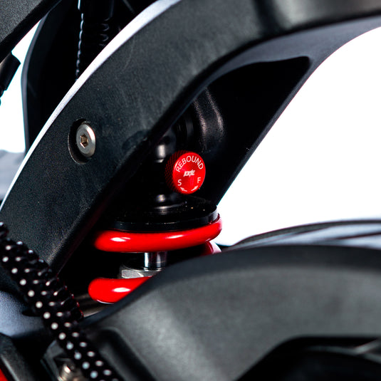 RS6 ULTRA Electric Scooter