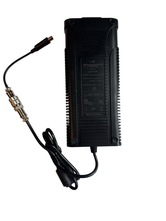 Fast 5A Battery Charger for Electric Scooters