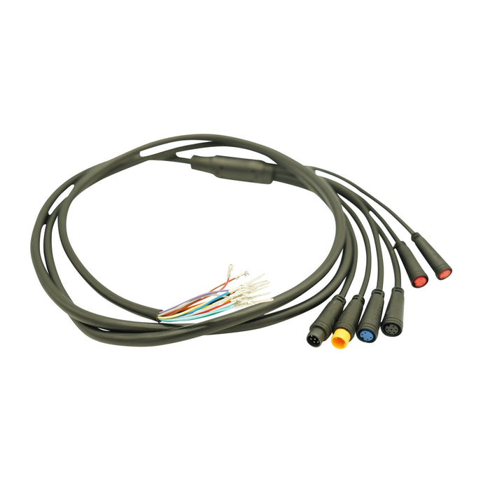 Wire Harness - D6+ - RoadRunner Scooters